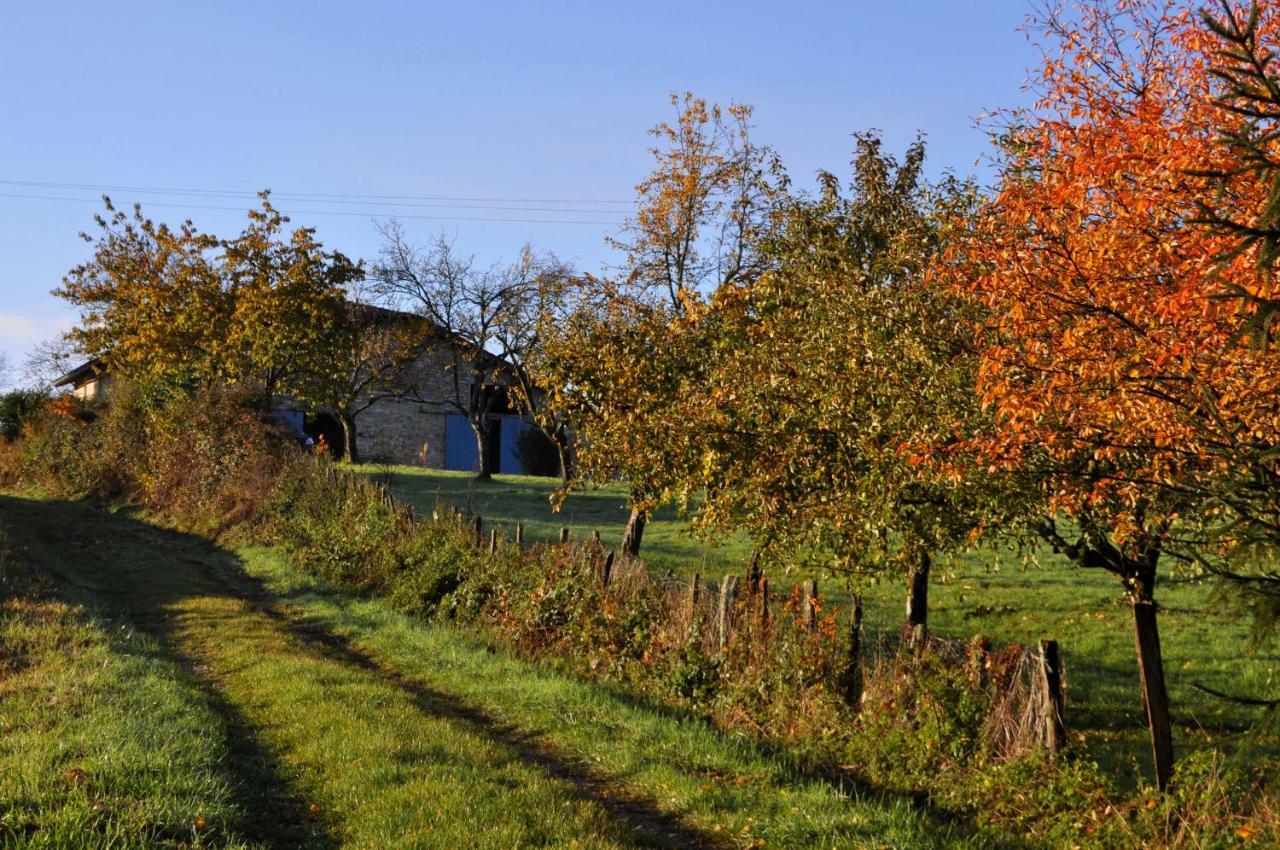 Terres De La Grange Bed and Breakfast Cuisiat Εξωτερικό φωτογραφία